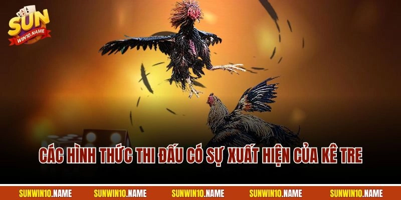 Các hình thức thi đấu có sự xuất hiện của kê tre