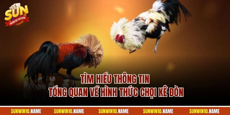 Tìm hiểu thông tin tổng quan về hình thức chọi kê đòn